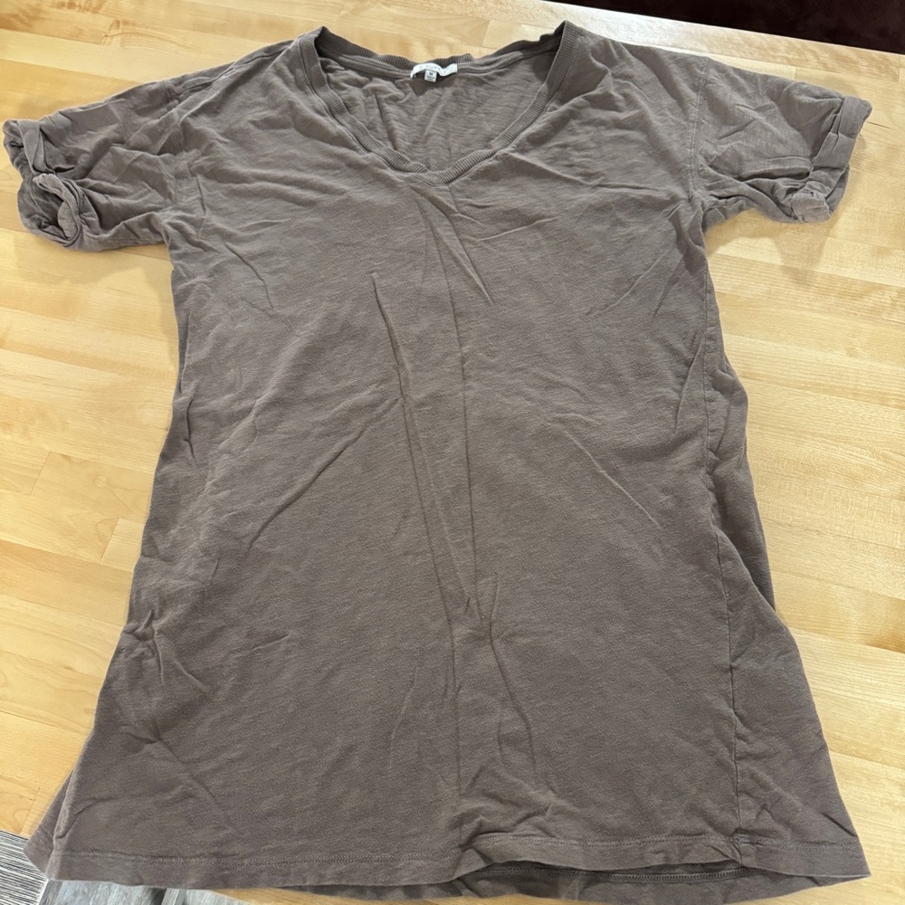 Z Supply Tan Vneck Long T-shirt